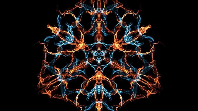 养了近十年的草龟要不要放生?